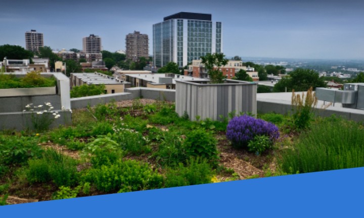 Bien isoler les bâtiments industriels ou commerciaux l'été